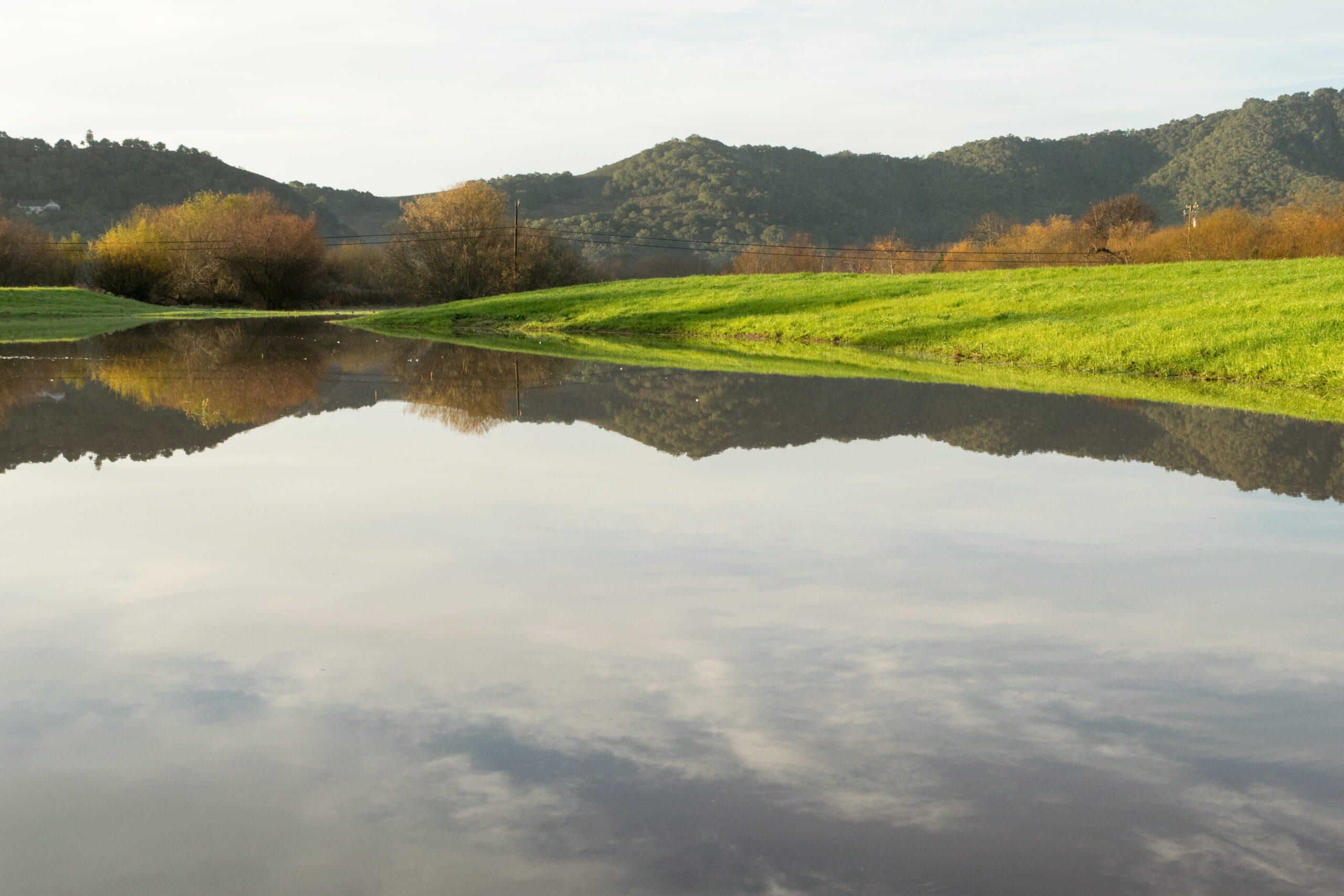 Flooded wetland off Monte Road in San Luis Obispo on a sunny morning. Vibrant green grass surrounds flooded depression.
