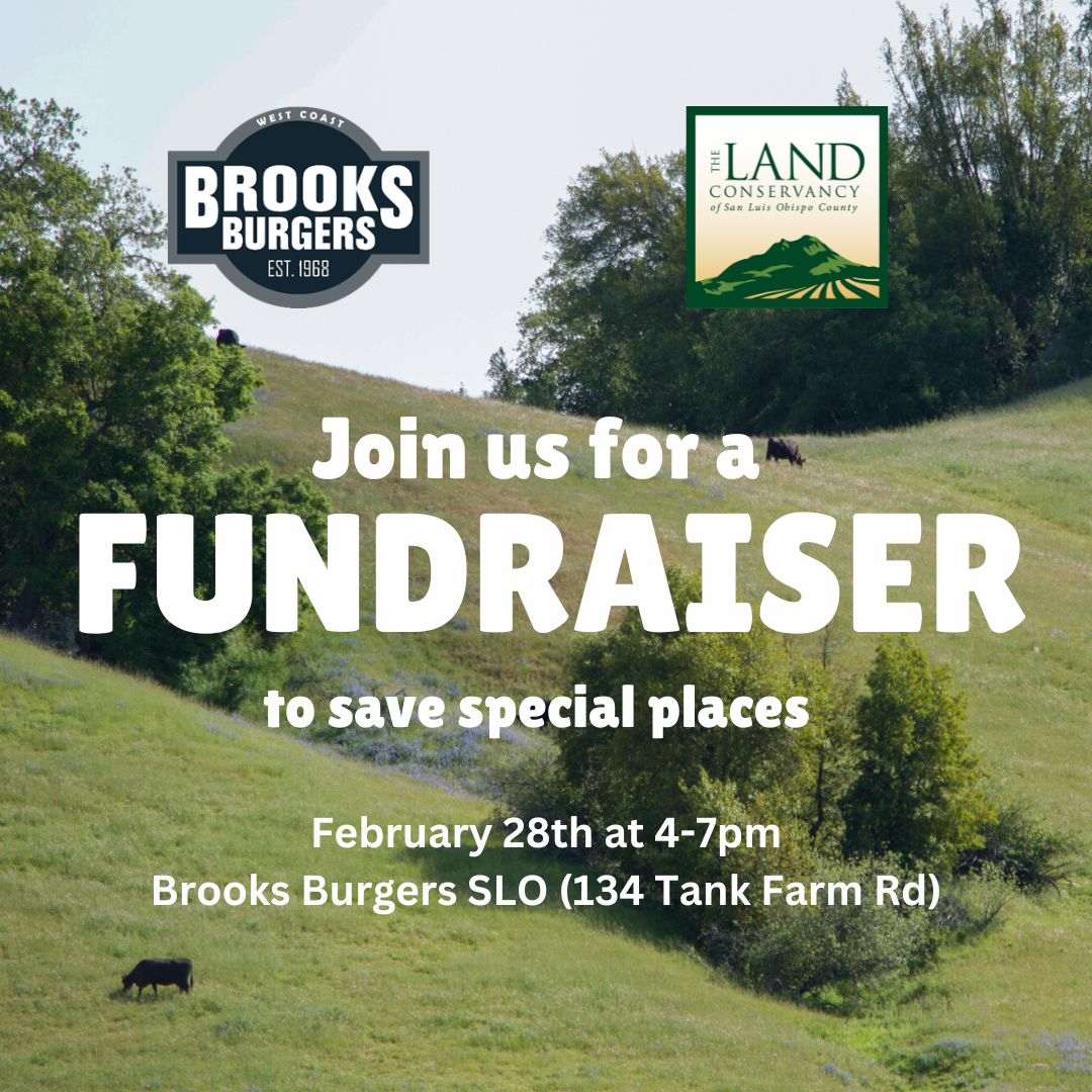 Fundraiser at Brooks Burgers in SLO!