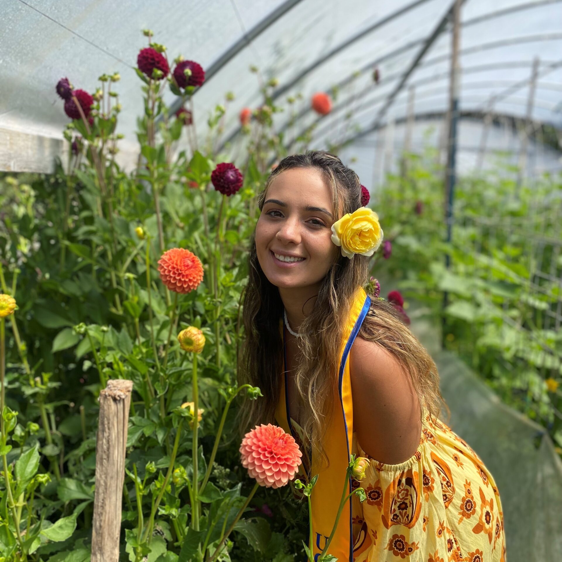 Emily Rose bio pic for website Emily Rose Friedman