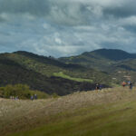 Santa Rita Ranch BioBlitz