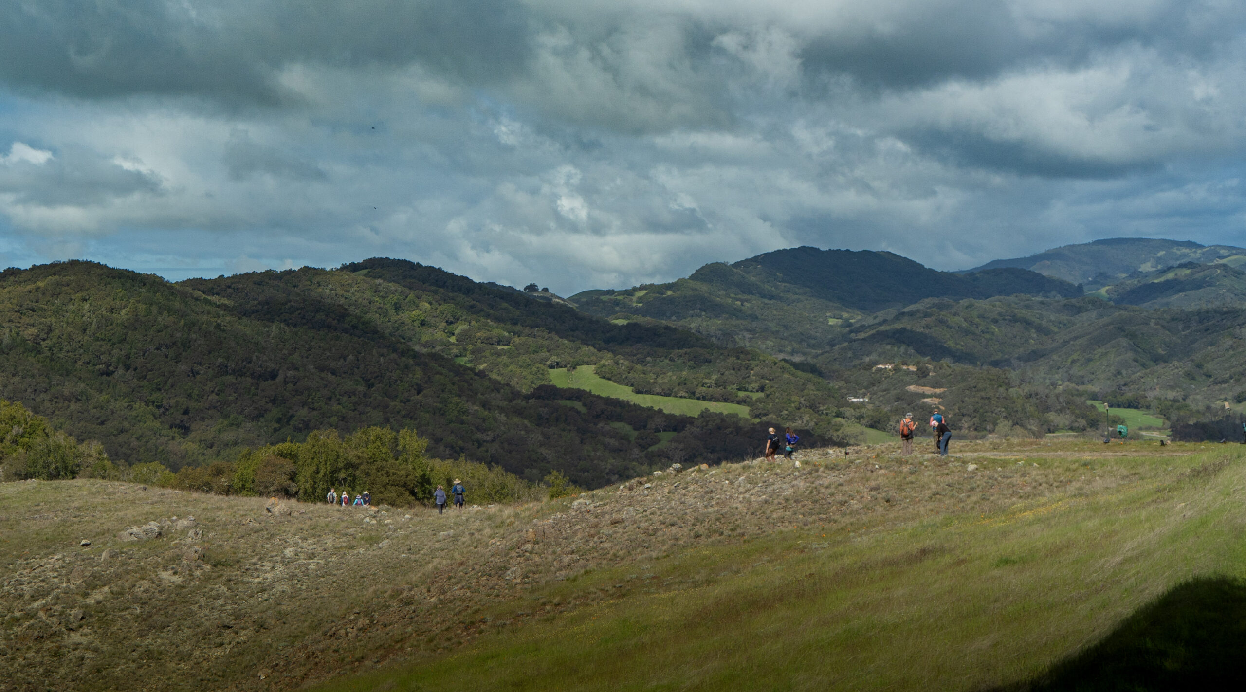 Santa Rita Ranch BioBlitz