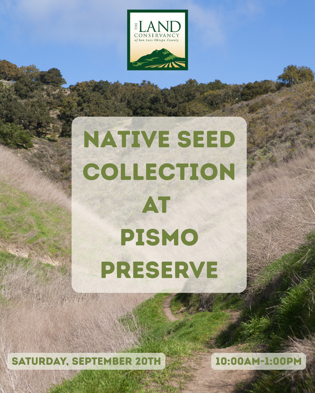 Native Seed Collection Volunteer Workday