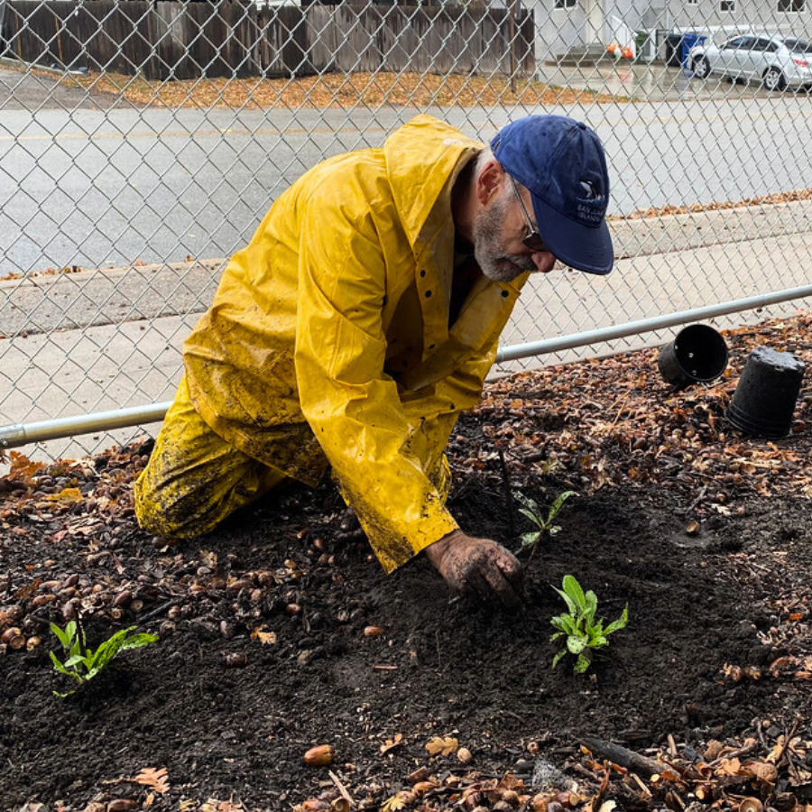 Garden Workday with Learning Among the Oaks