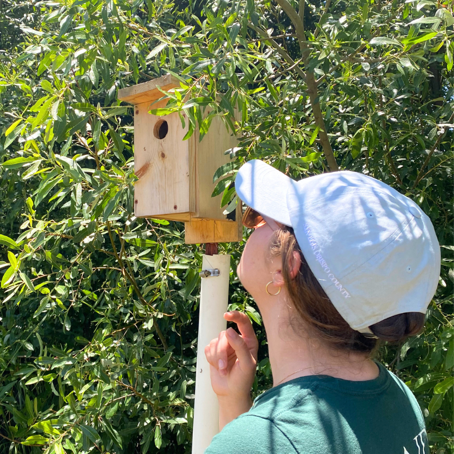 Join the Bird Nest Project!