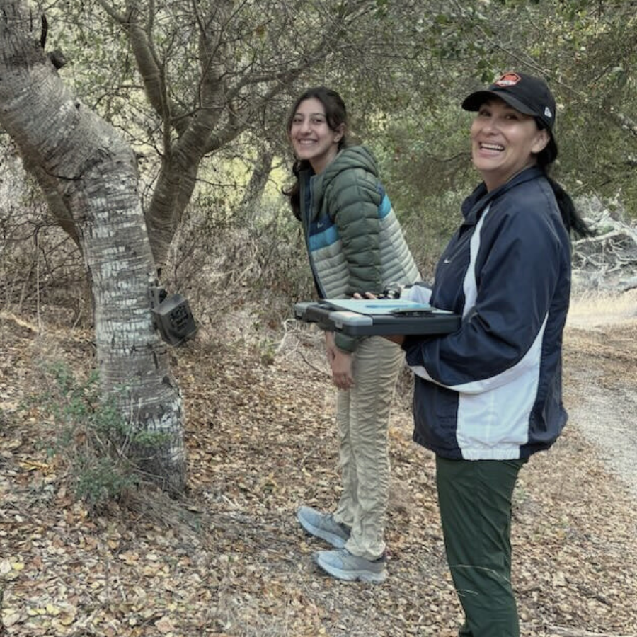 Join the Wildlife Camera Project!