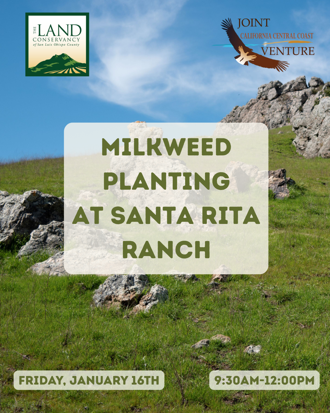 Santa Rita Ranch Milkweed Planting