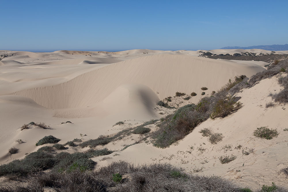 Black Lake Ecological Area Hike