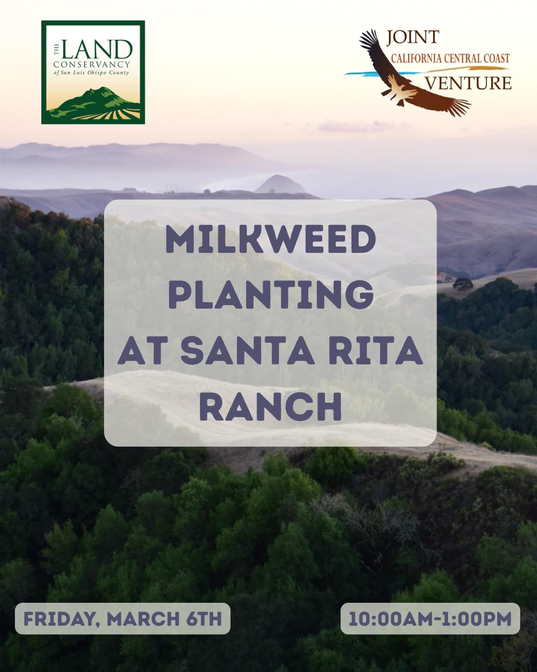 Santa Rita Ranch Milkweed Planting