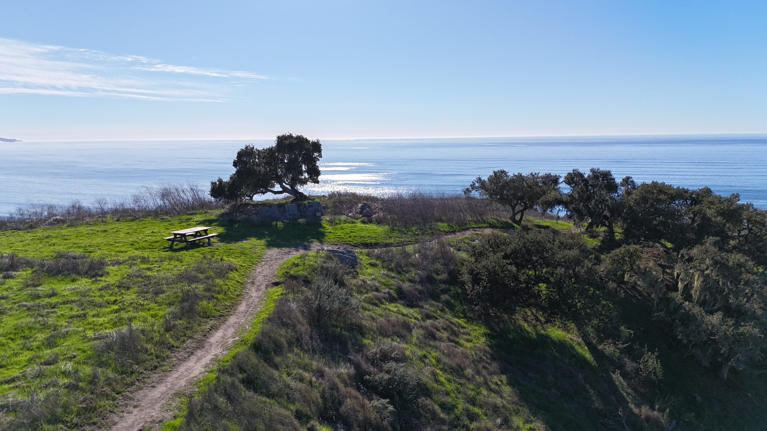 International Biodiversity Day at Pismo Preserve