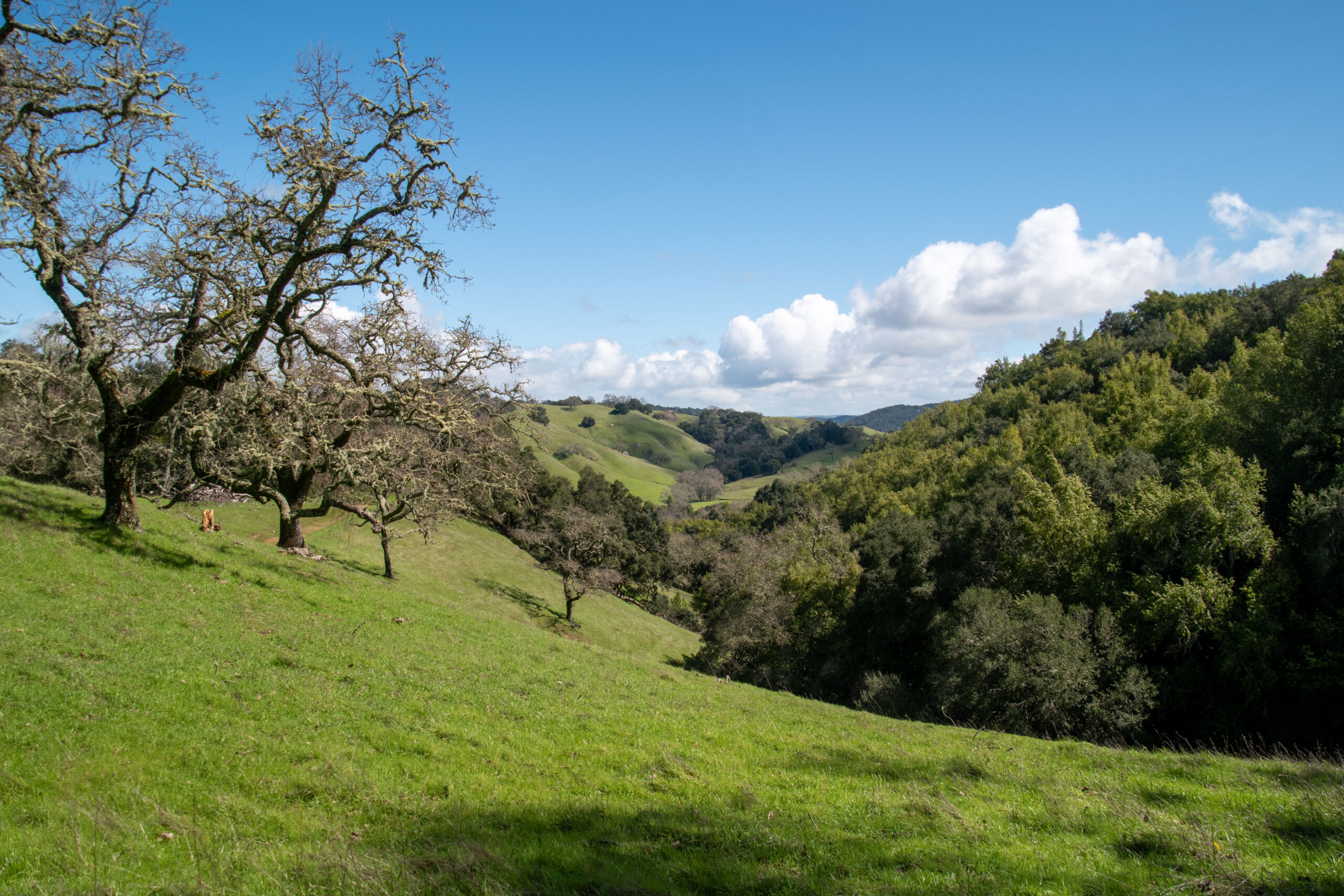 Santa Rita Ranch Hike - Easy