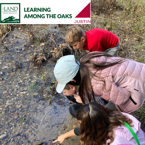 City Nature Challenge Paso Robles