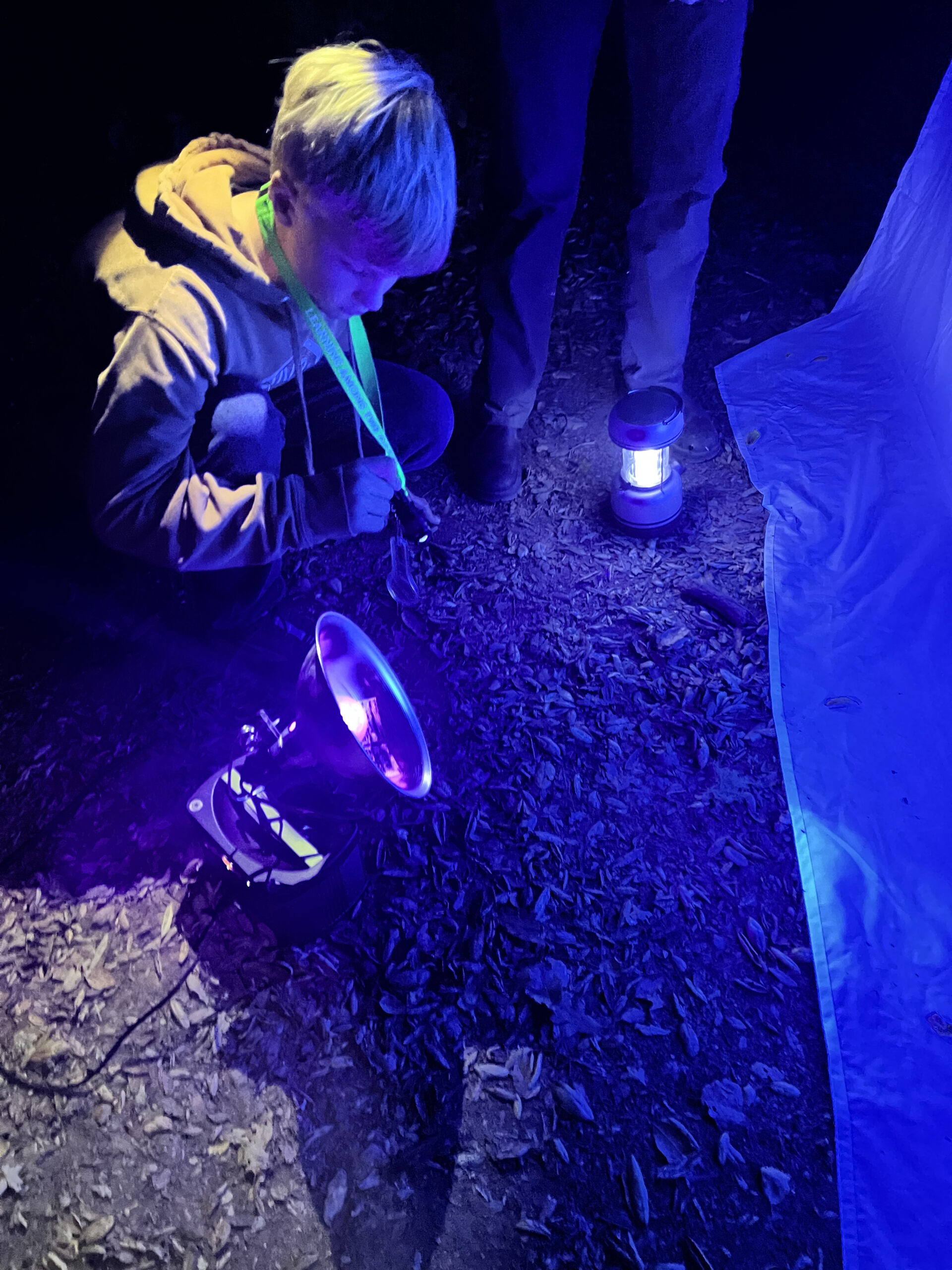 National Moth Week Night