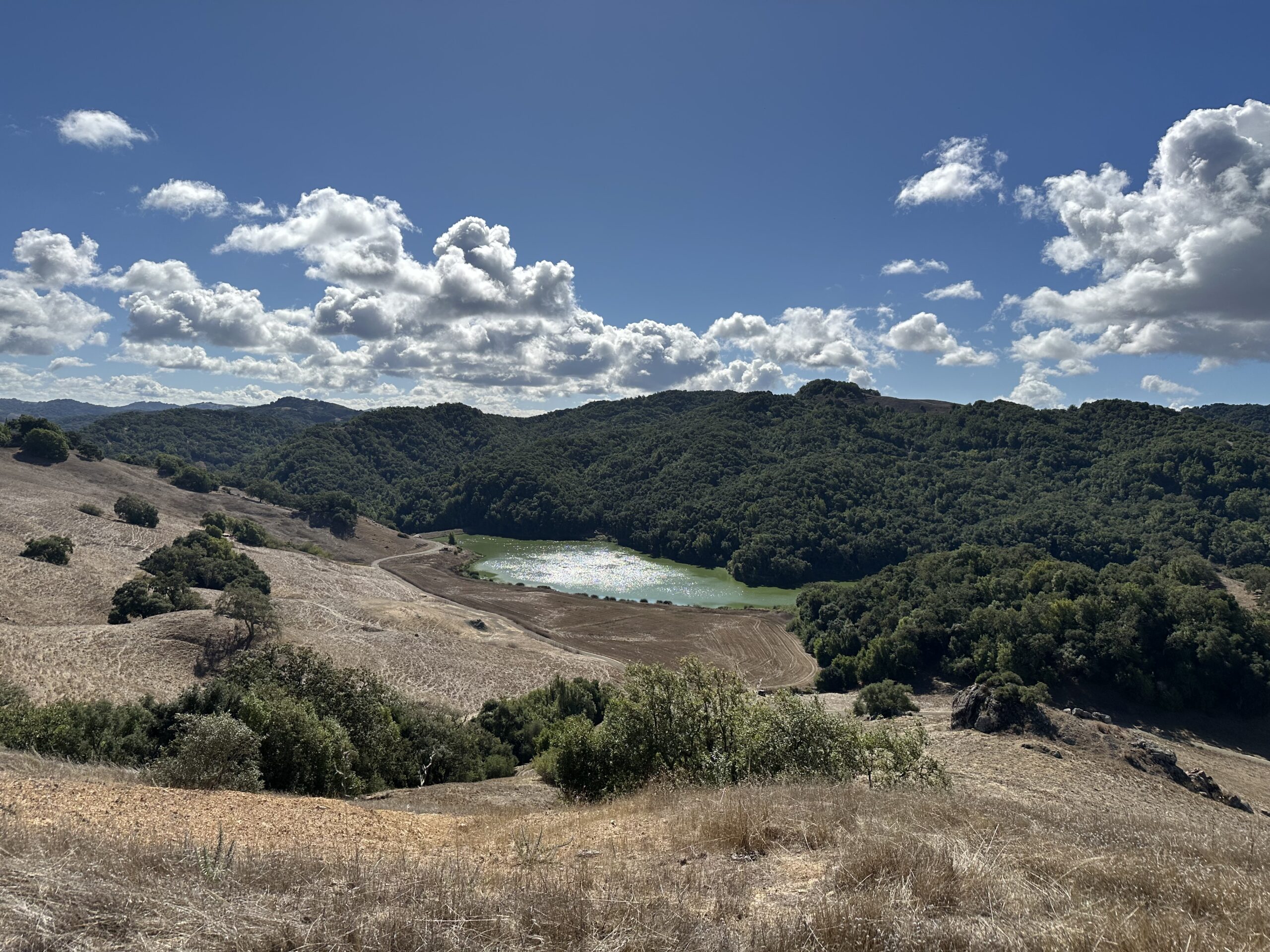 Santa Rita Ranch Seed Collection