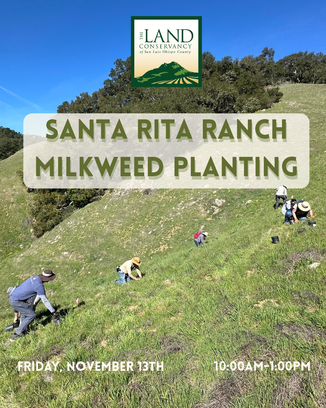 Milkweed Planting at Santa Rita Ranch